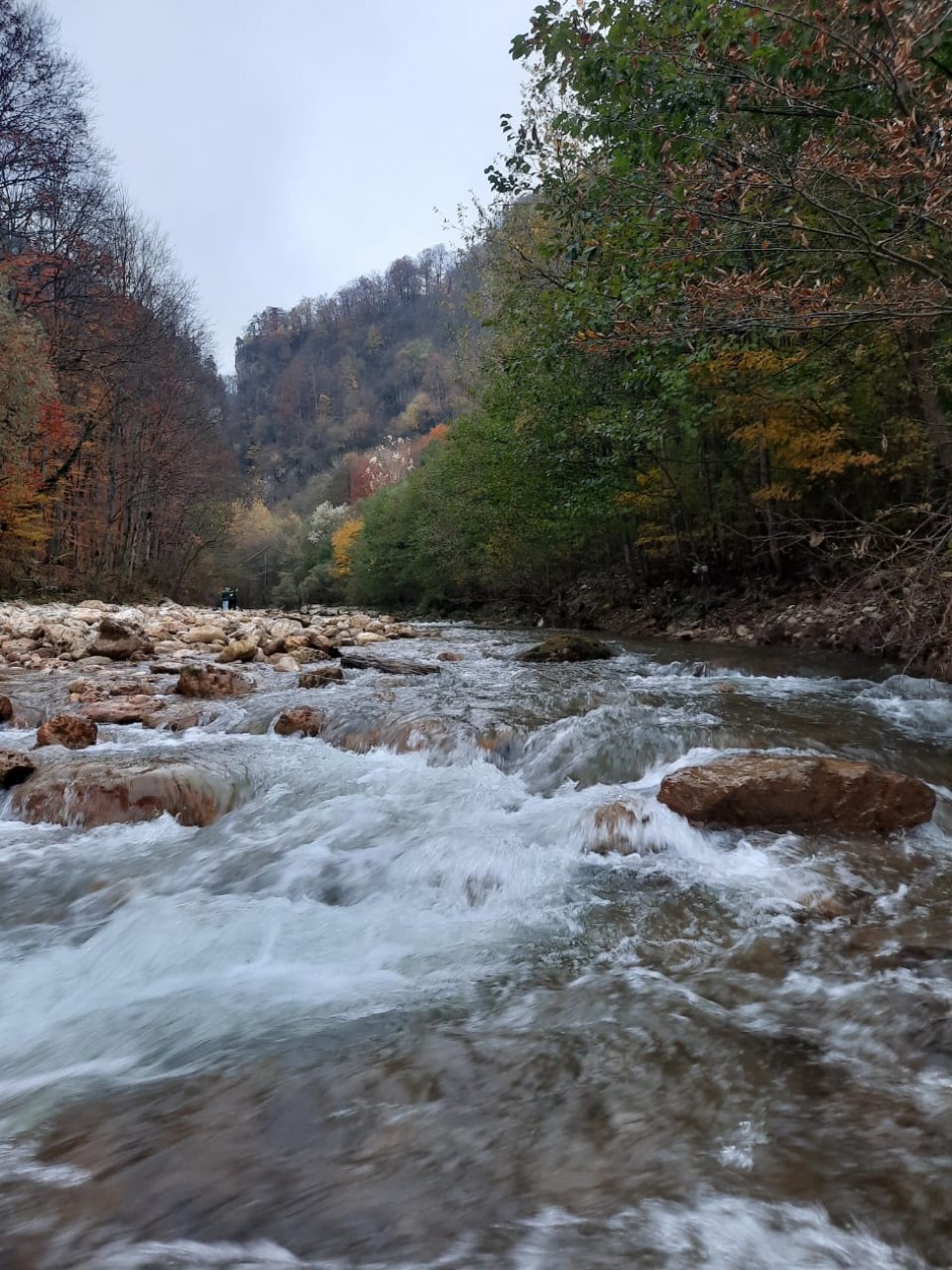 Осень художница