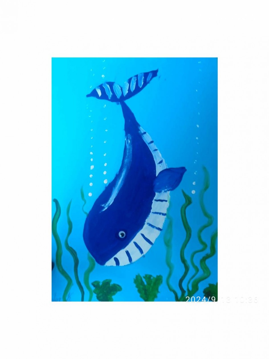 Кит