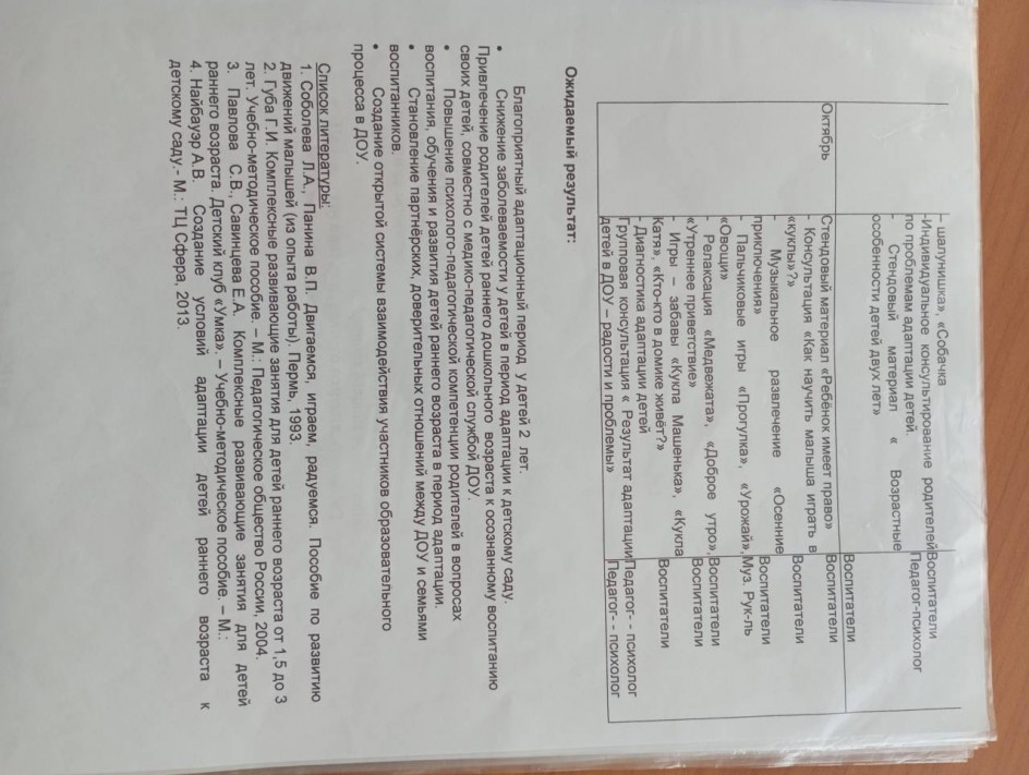Педагогический проект "Первый раз - в детский сад!"