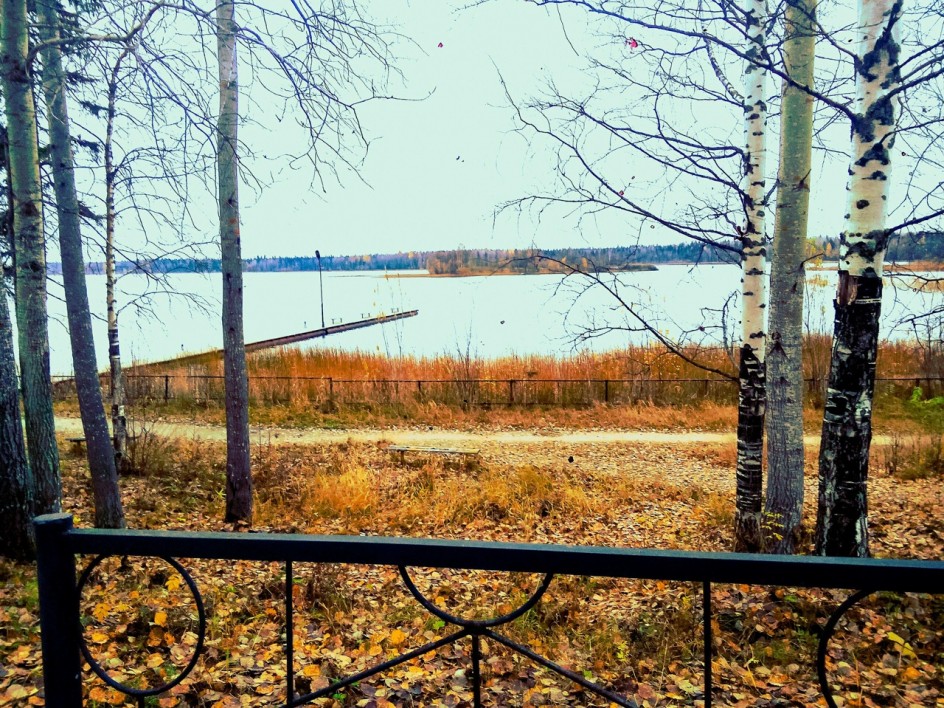 Осень золотая