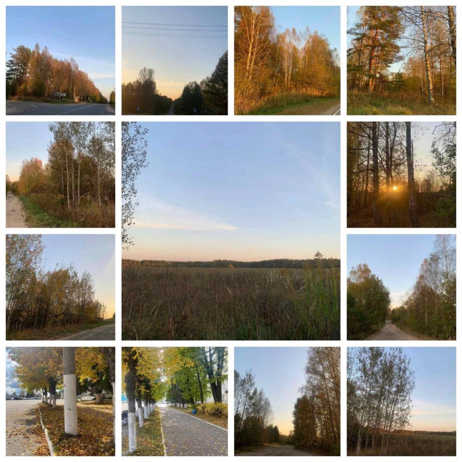 Золотая осень
