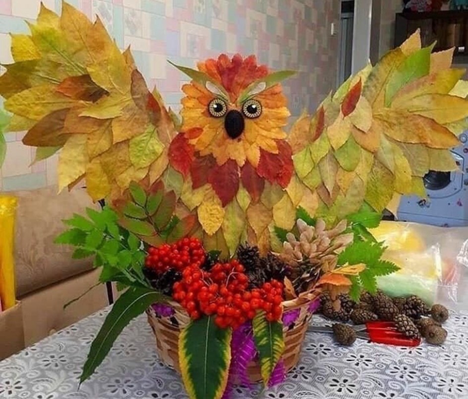 «Сова»