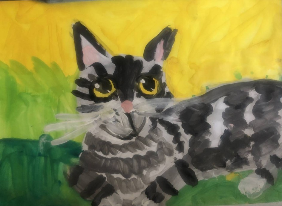 милый котик