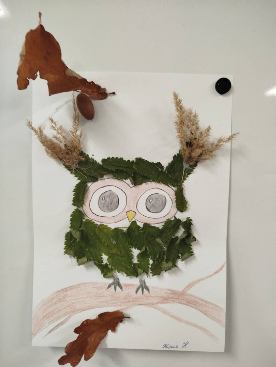 Сова