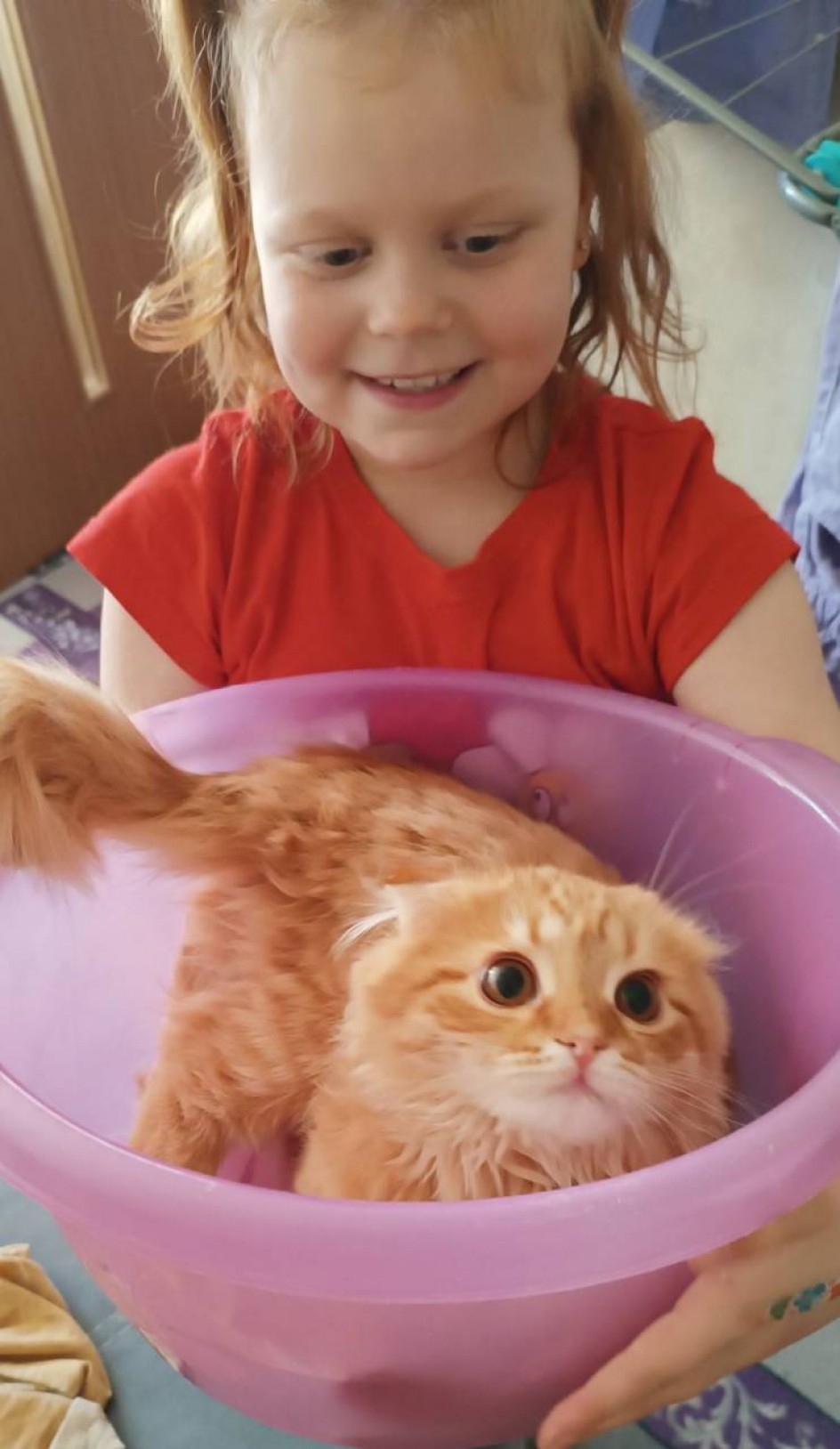 Я с моей кошечкой Боней.