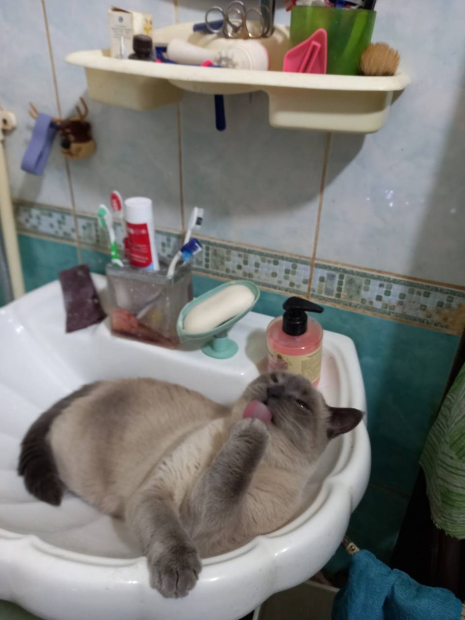 "Утро начинается"