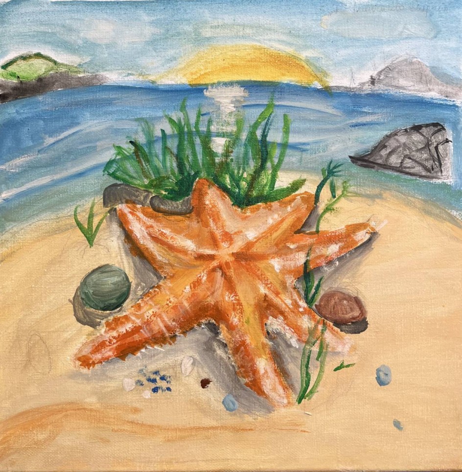 "Красота морского дна"