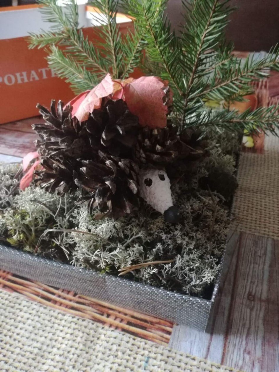 Ёжик на полянке