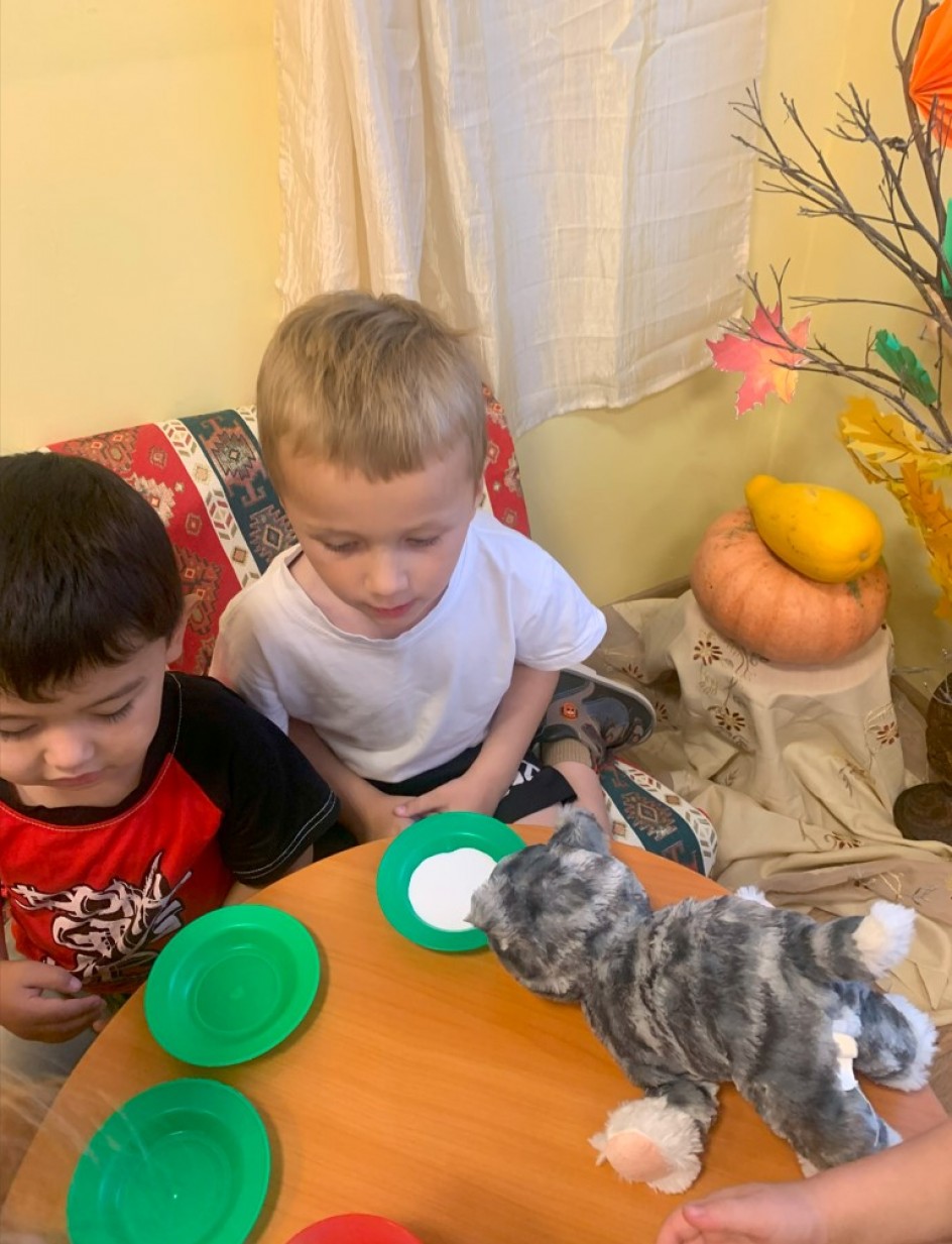 домашние животные