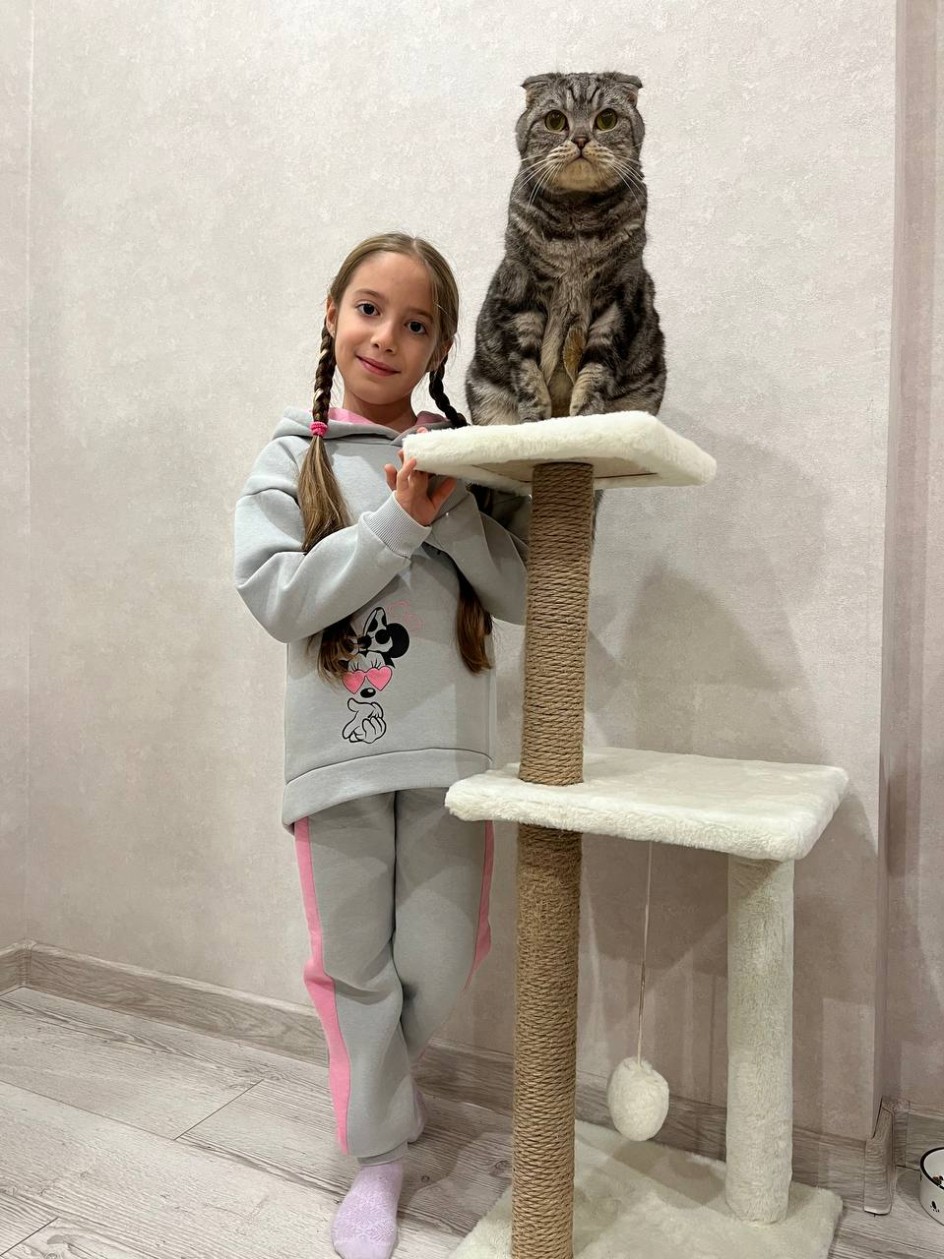 Кот Мэсик