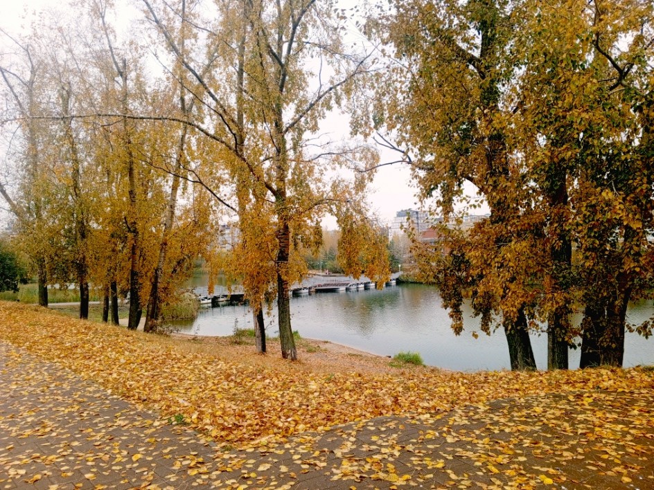 Золотая осень
