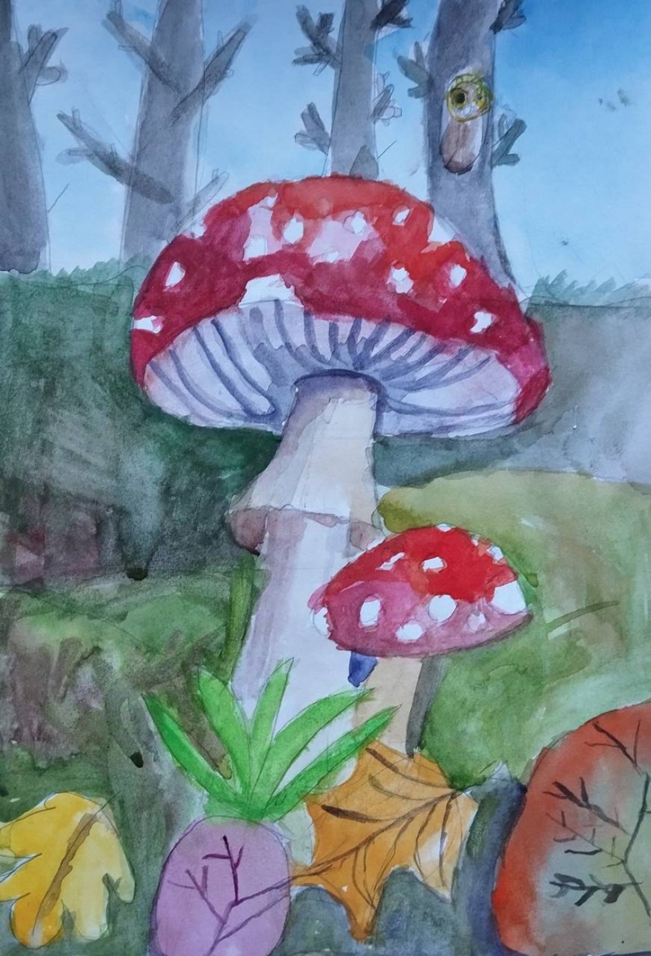 Мухоморчики