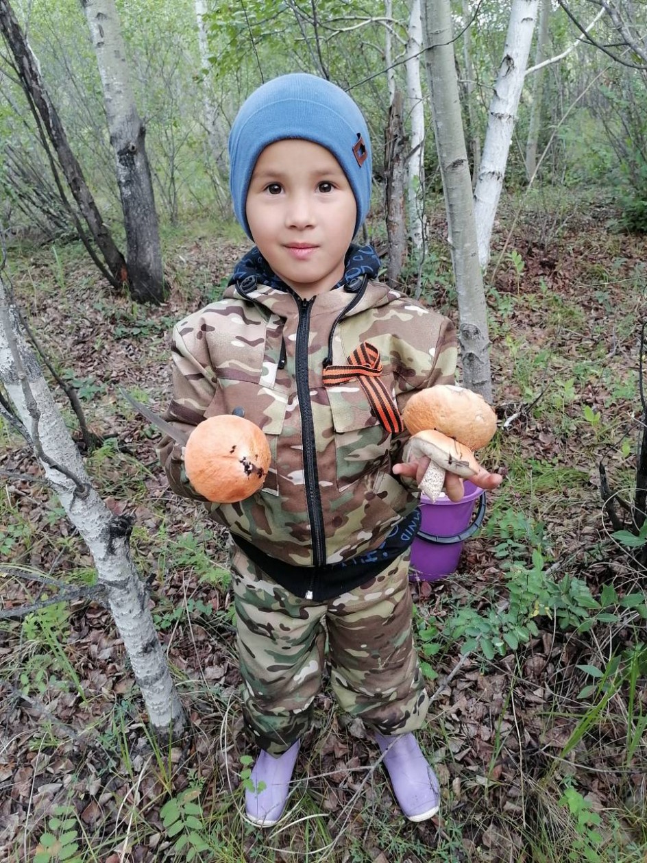 "Дары природы"
