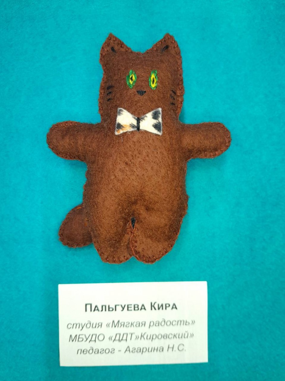 Кот
