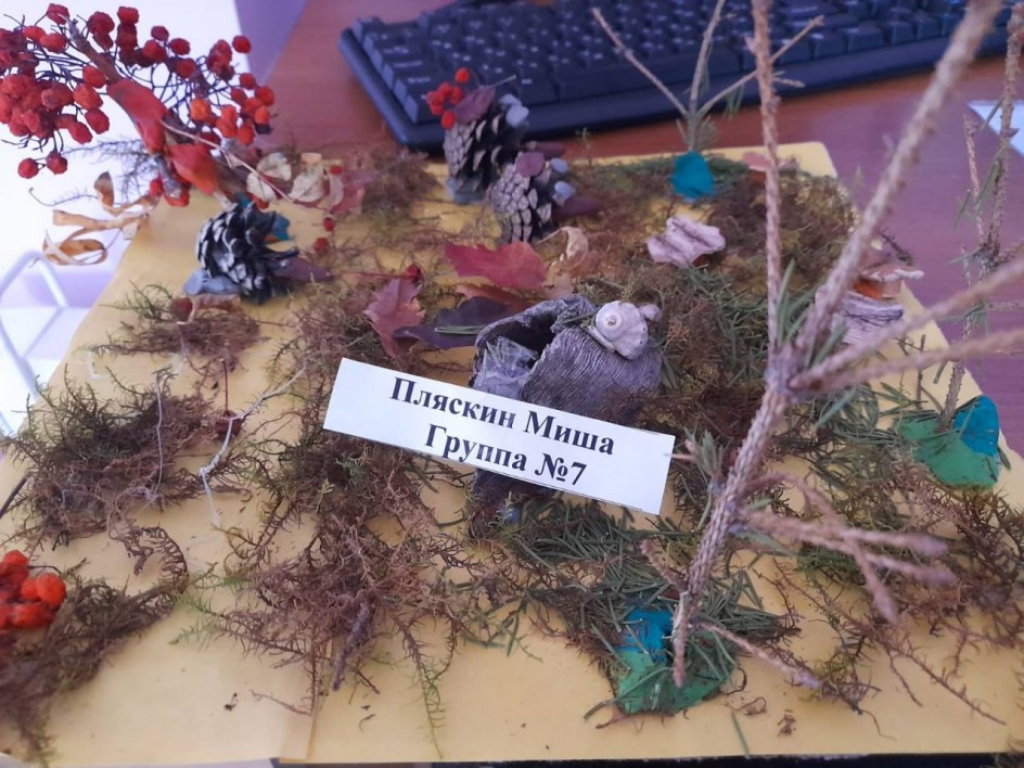 Осенняя полянка