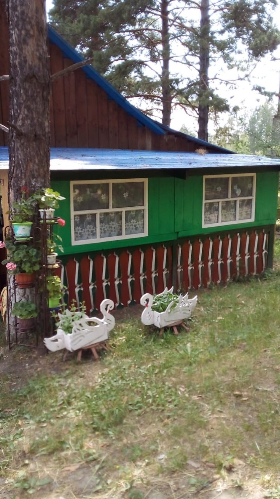 Украшение двора- цветы