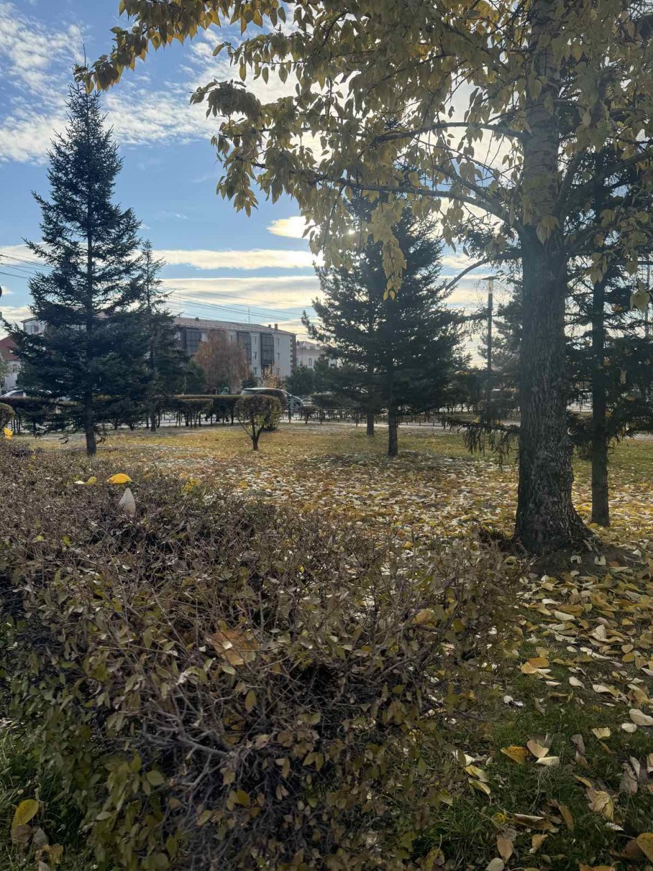 Поздняя осень