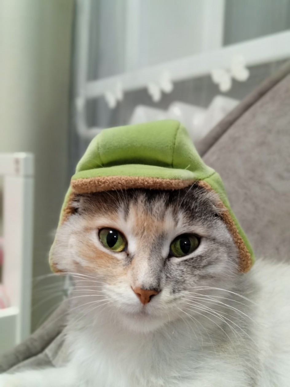 Моя зеленоглазая Эва