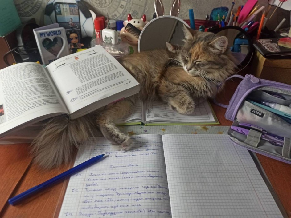 Вместе делаем домашку