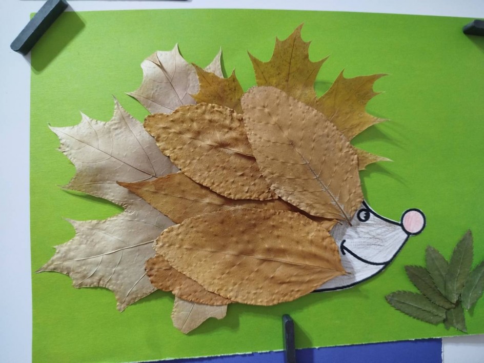 Ёжик