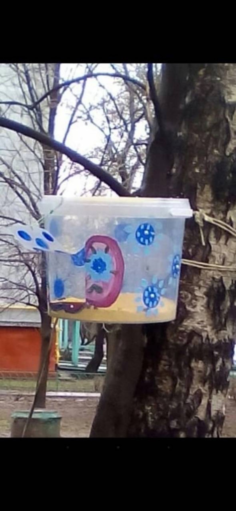 Кормушка для синичек