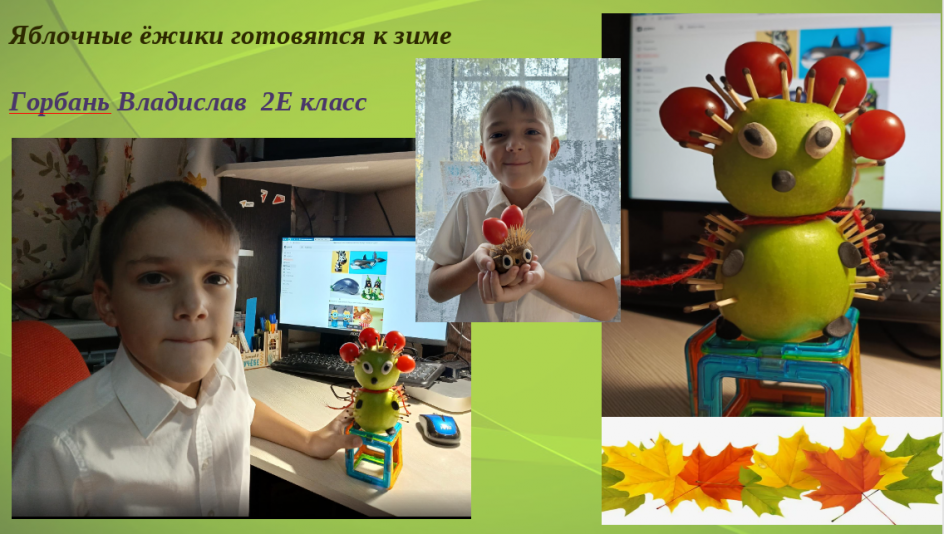 Осенние ежики