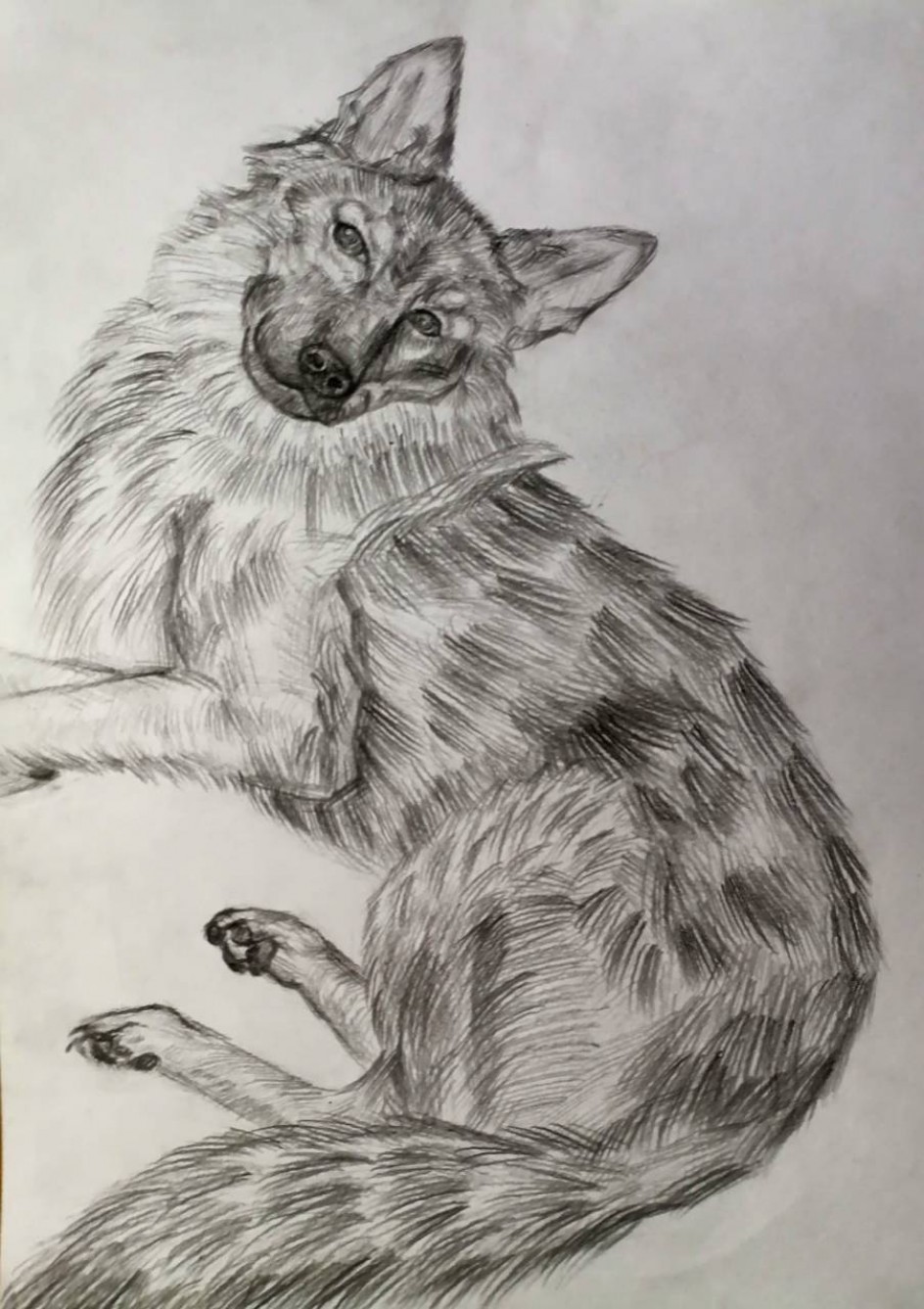 "Мой пес"
