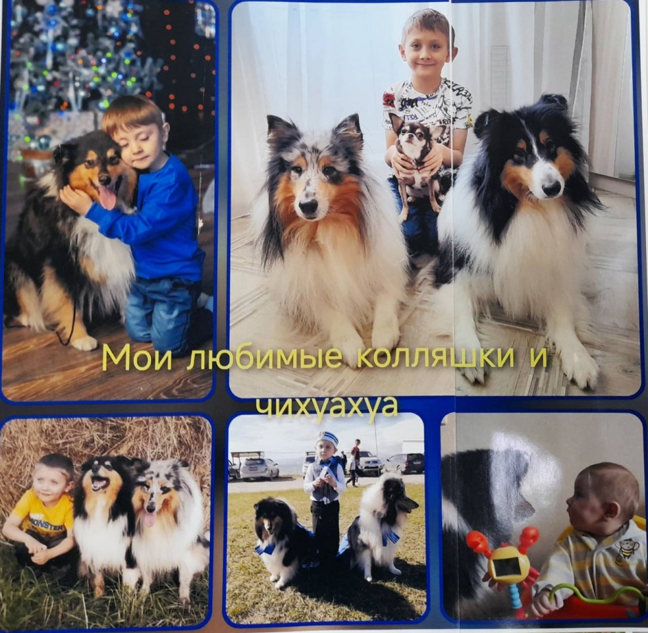 Мои любимки.
