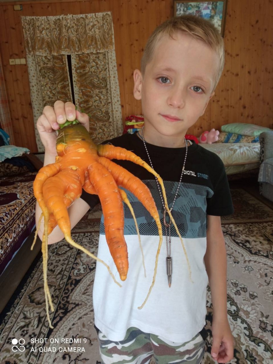 Хозяин сада удивил, "Чужого" в грядку посадил.
