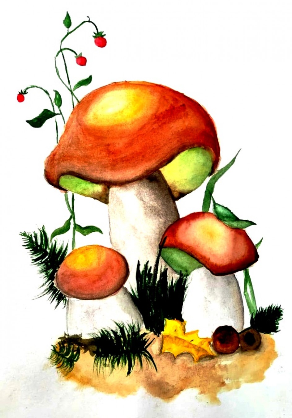 Боровички