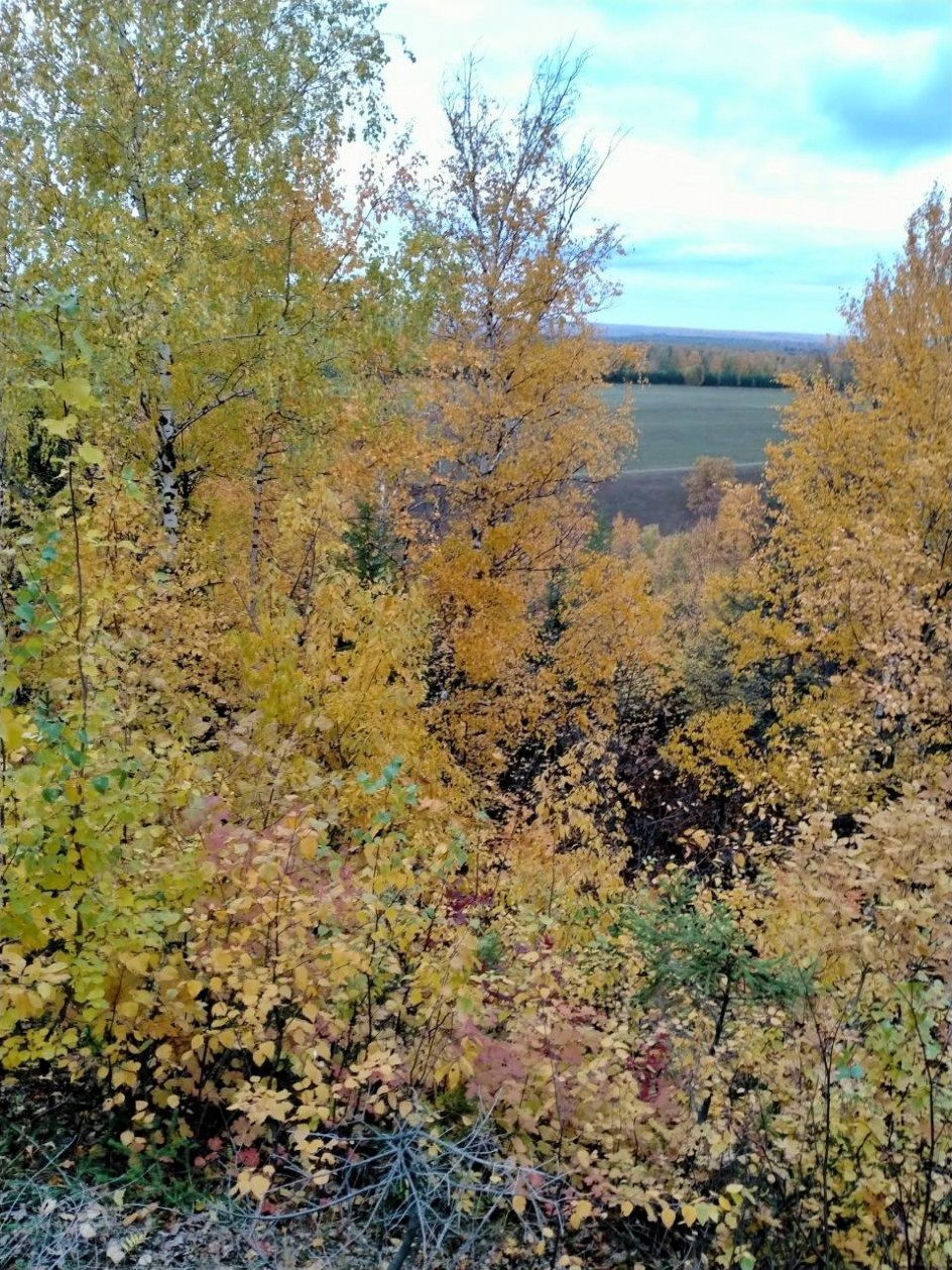Золотые краски осени