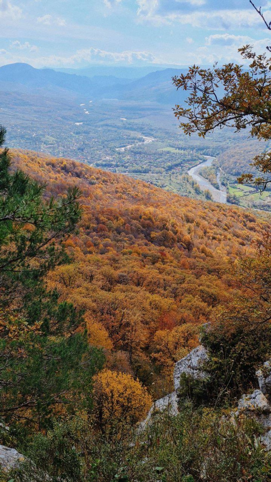 Осенний лес в горах