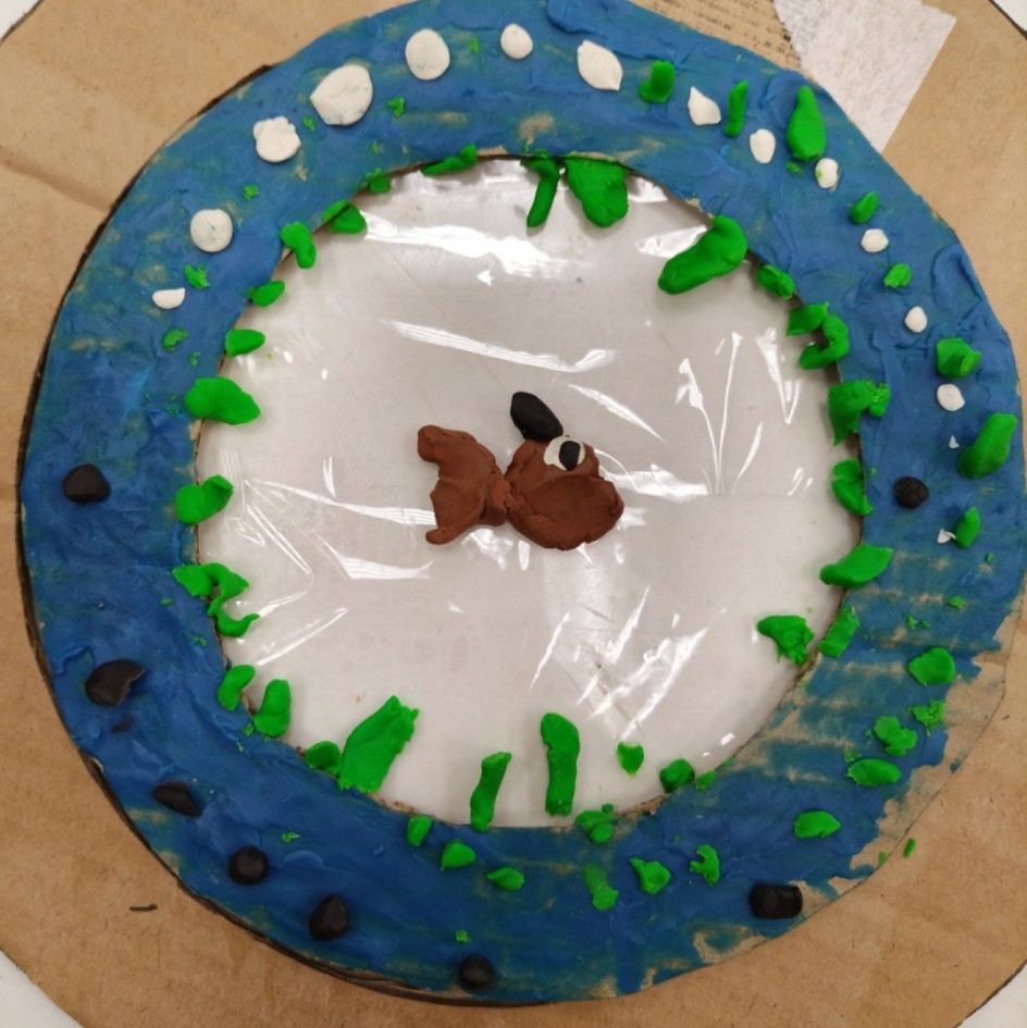 Морские обитатели