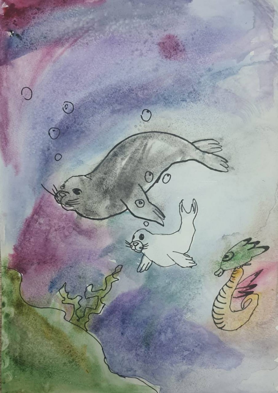 Морские котики