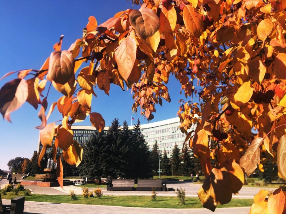 Осень в городе