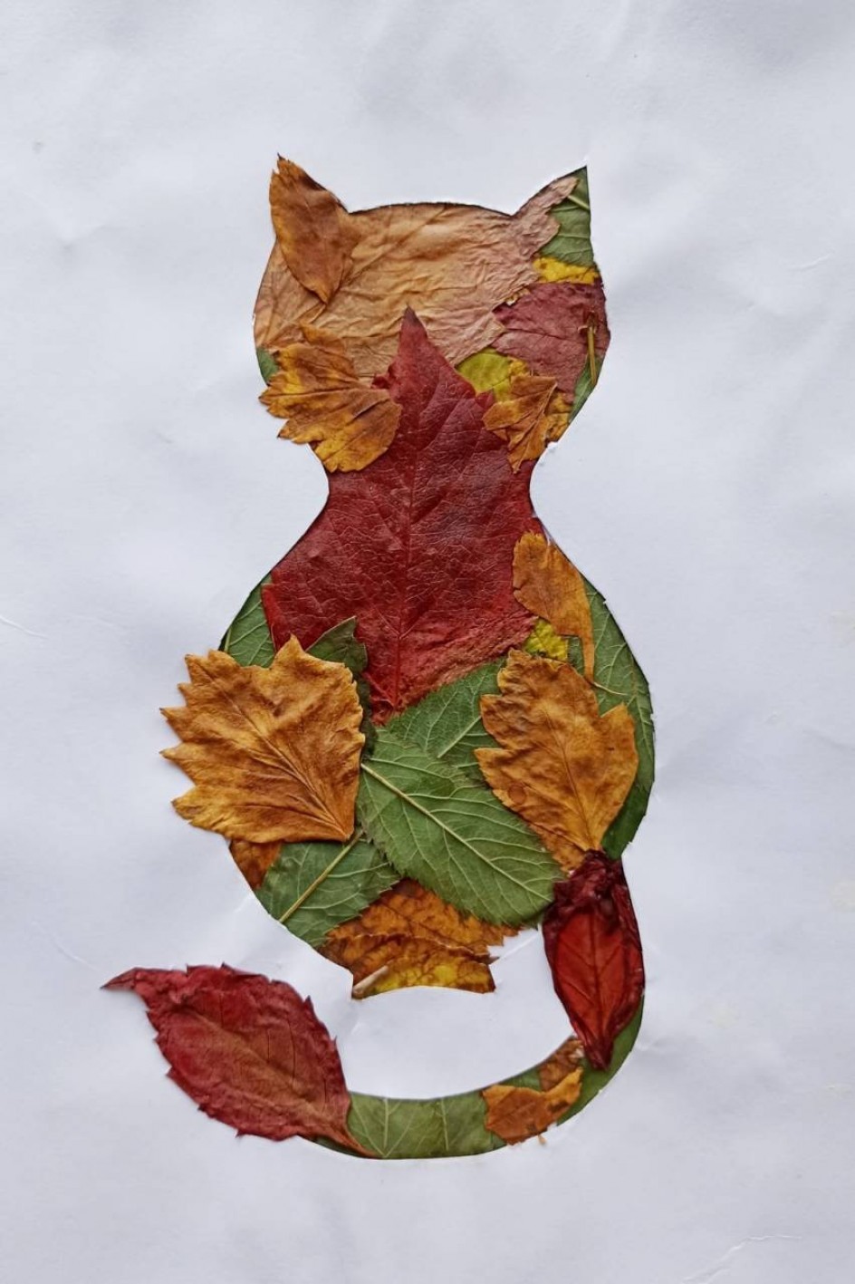 Кот осенний