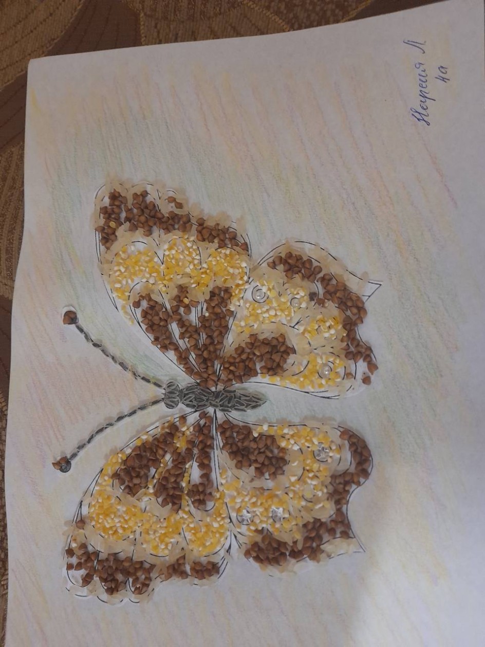 Бабочка красавица