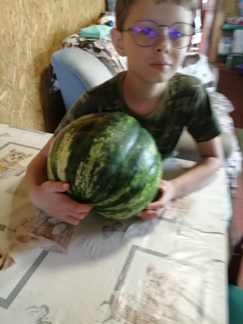 Арбуз