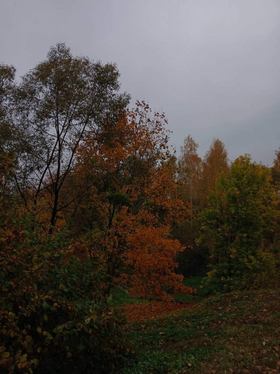Краски осени