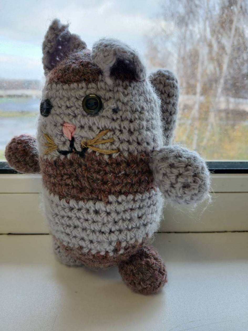 Серый кот.