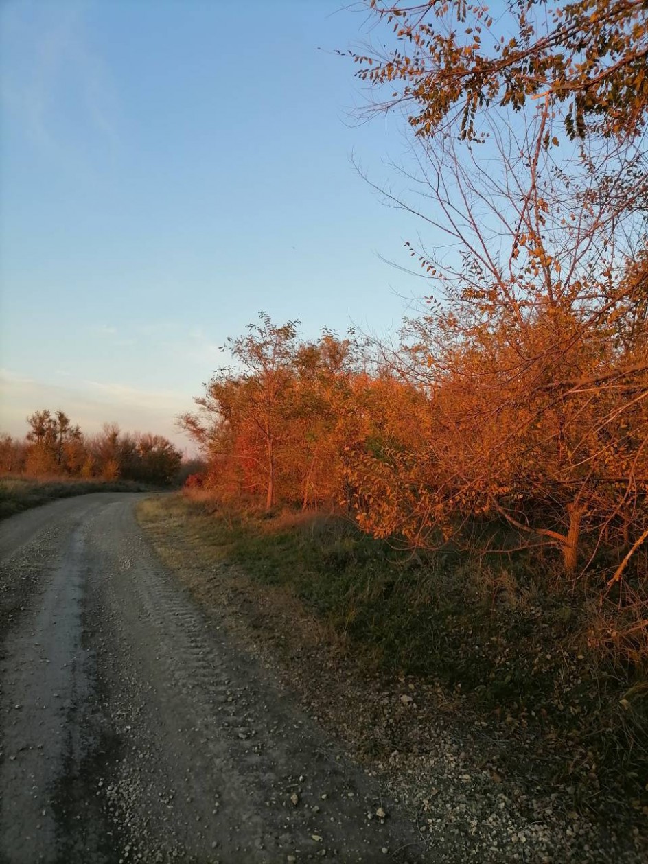 Осенняя дорога