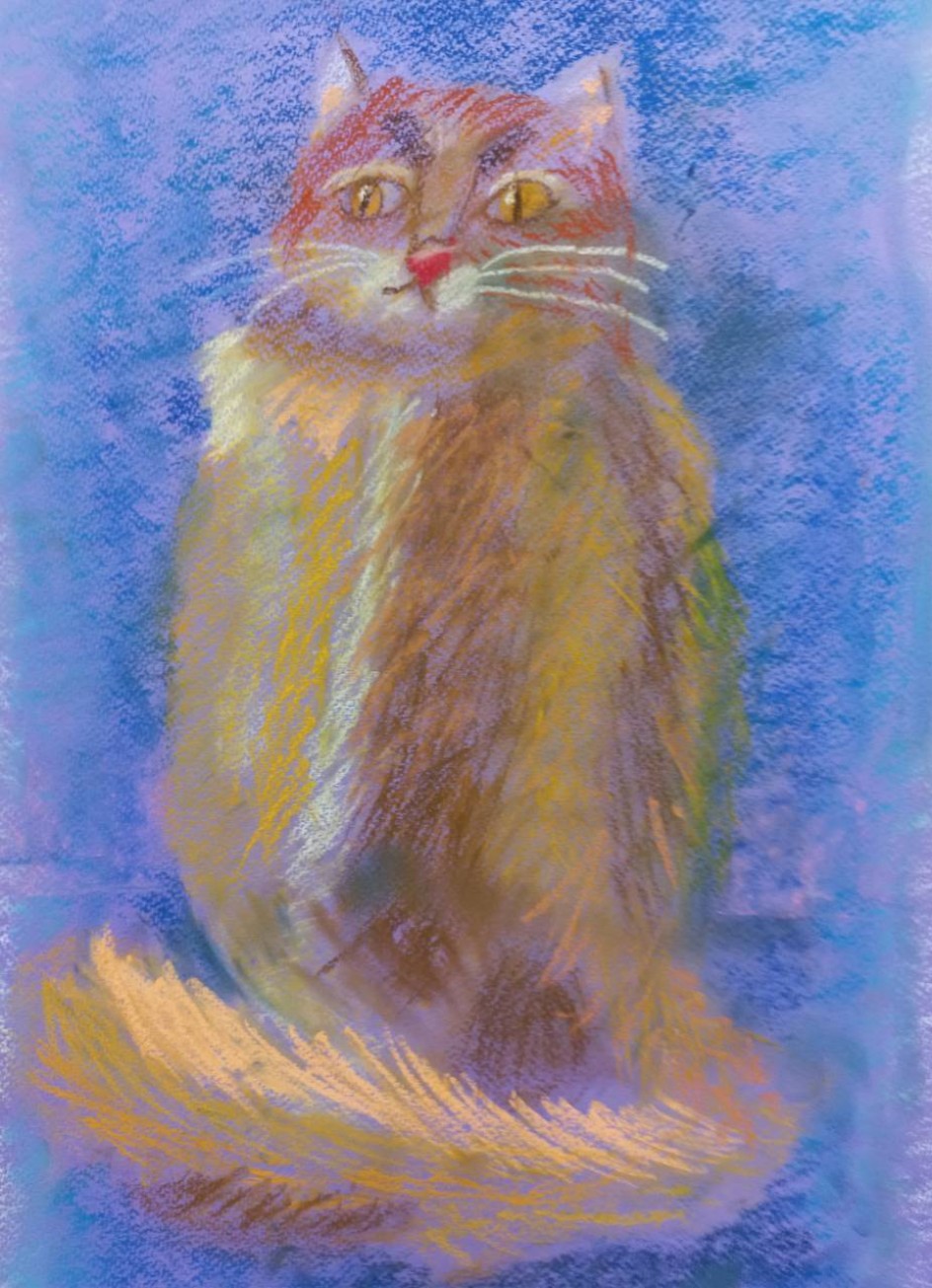 Пушистый котик