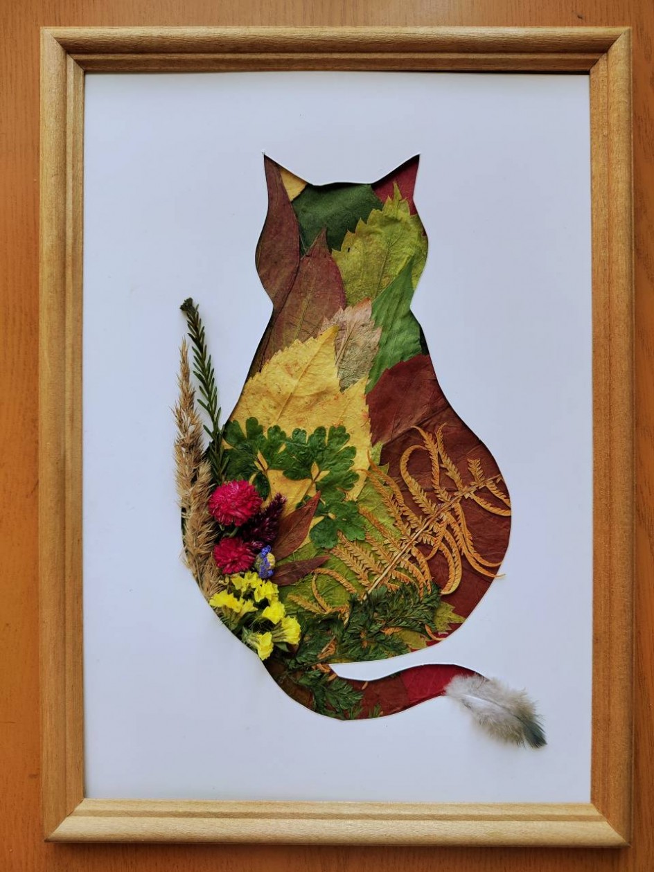 Кошка