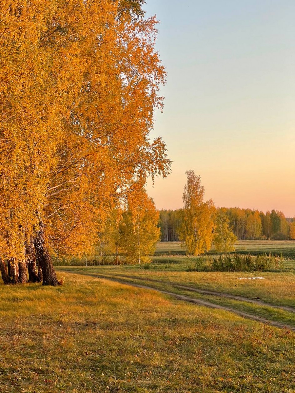 "Осень в лесу"