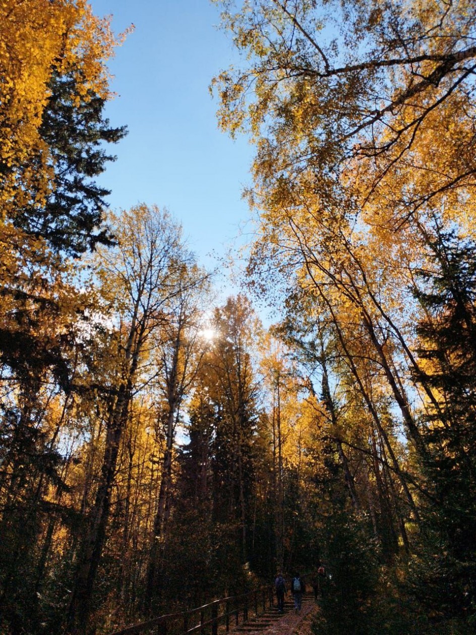 Осеннее настроение