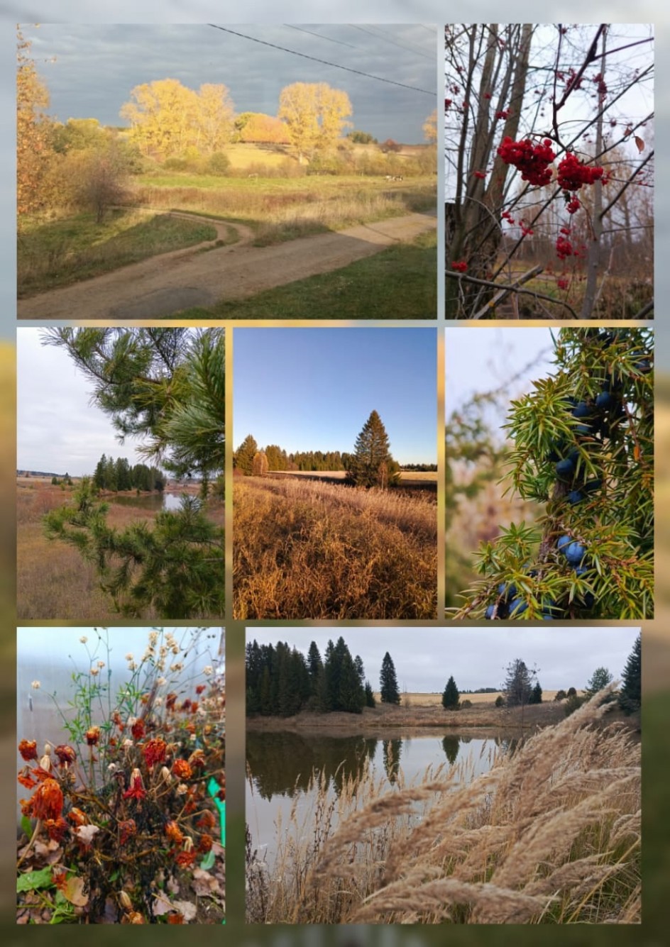 Осень краса