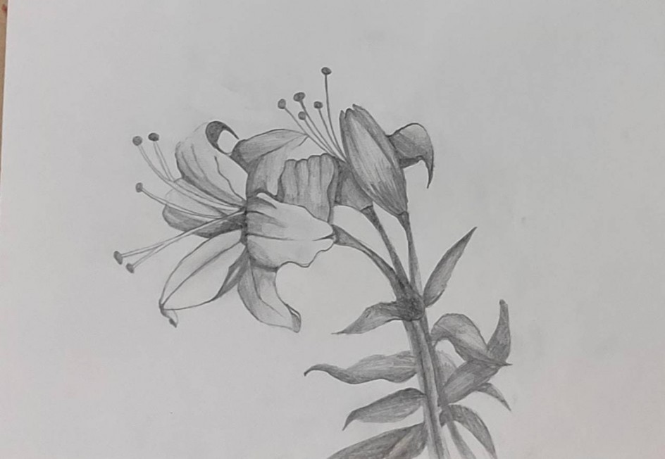 Лилия