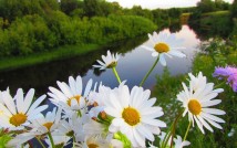 Всероссийский поэтический конкурс «КРАСОТА РОДНОЙ ПРИРОДЫ»