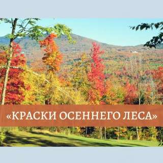 Международный конкурс изобразительного искусства, декоративно-прикладного творчества и фотографии «КРАСКИ ОСЕННЕГО ЛЕСА»