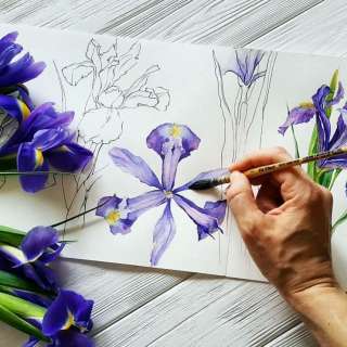 Международный конкурс ботанической живописи «ПОРТРЕТЫ РАСТЕНИЙ»